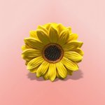 Sun Flower