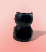 Purrfect Aroma Black