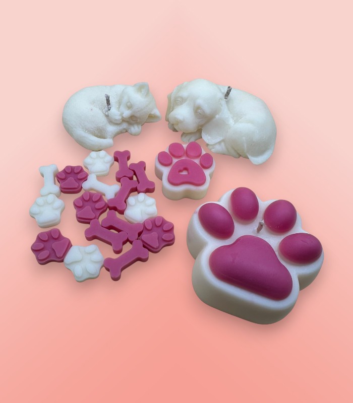 SC105 Paw-sitivity Box - Image 1